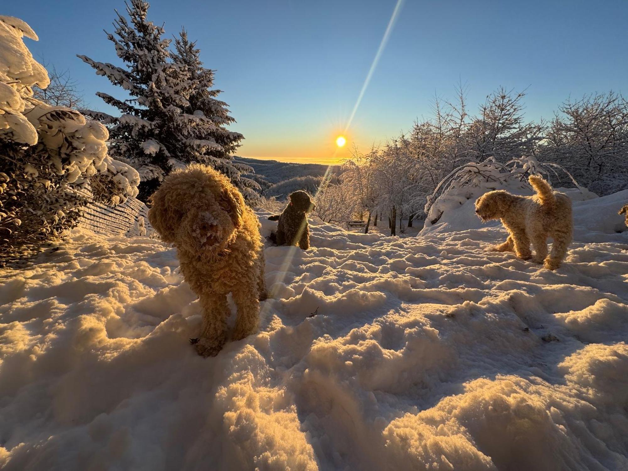 Guest House Lagotto'S Peak Radatovici Kültér fotó