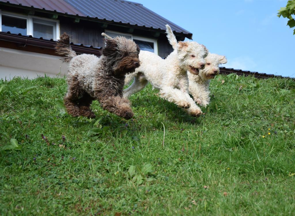 Guest House Lagotto'S Peak Radatovici Kültér fotó