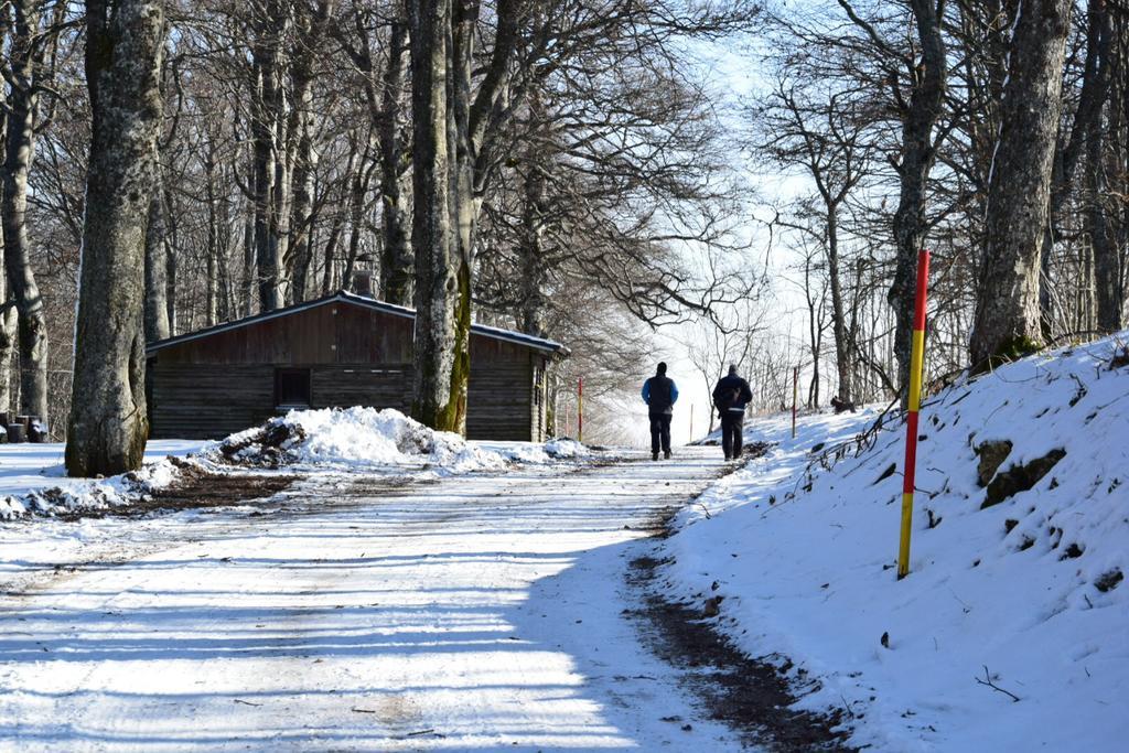 Guest House Lagotto'S Peak Radatovici Kültér fotó