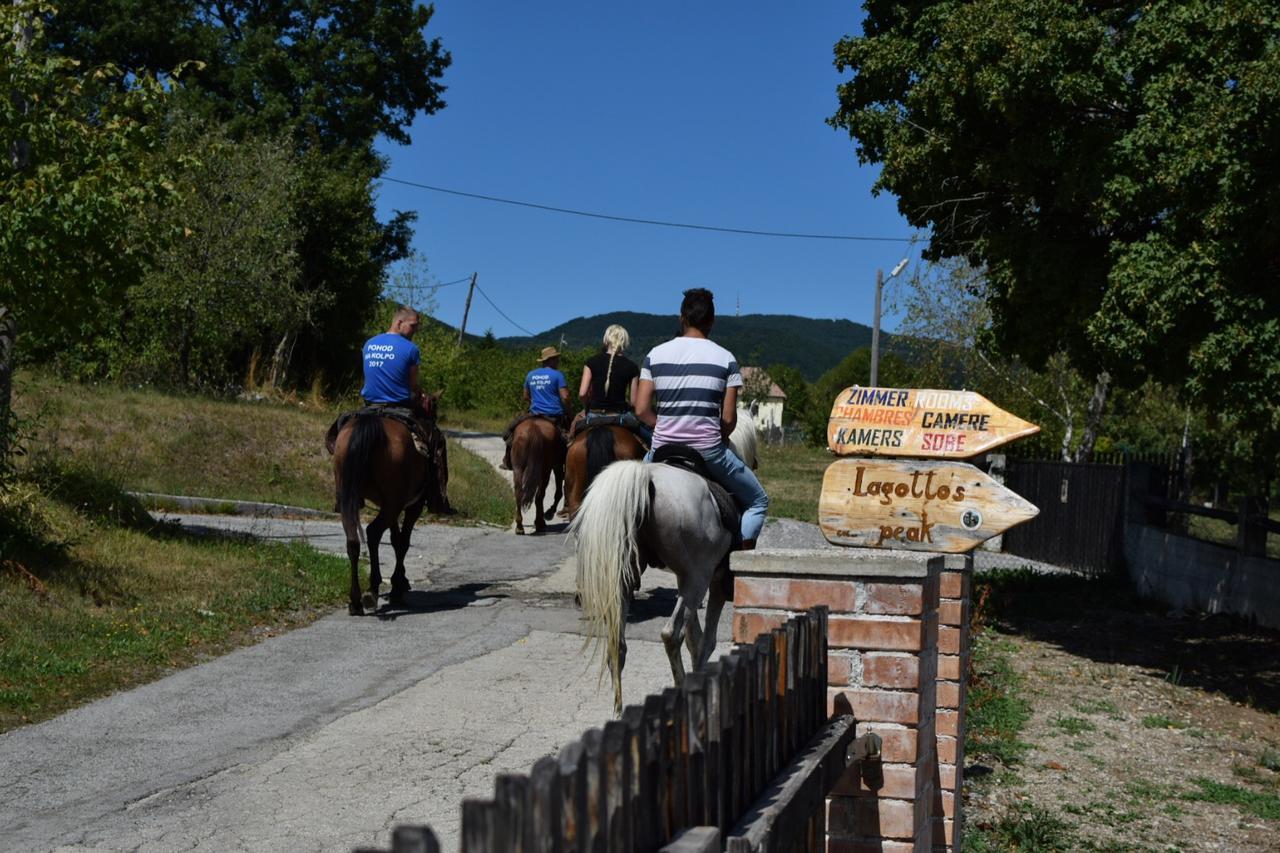 Guest House Lagotto'S Peak Radatovici Kültér fotó
